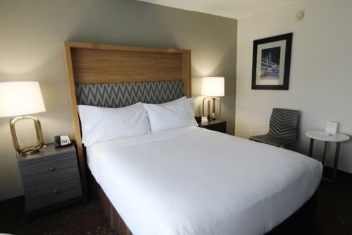 Hotel Holiday Inn O'hare Area
