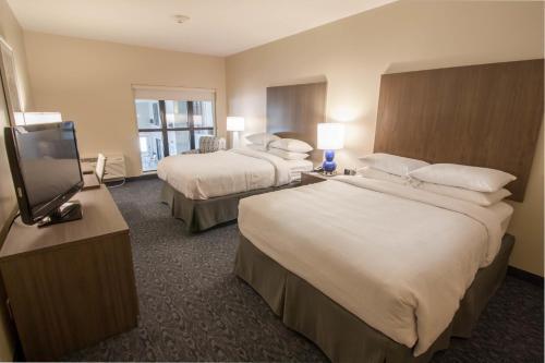 Hotel Renovo