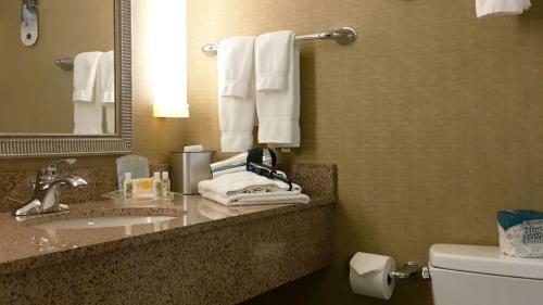 Hotel Holiday Inn & Suites West Des Moines