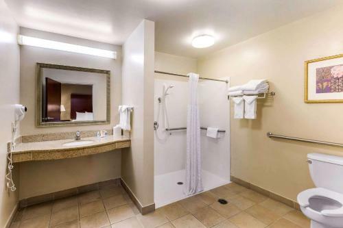 Hotel Comfort Suites Columbia Gateway
