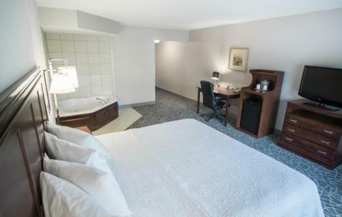 Hotel Hampton Inn & Suites Berkshires-lenox