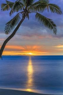 Hotel Westin Denarau Island Resort  Spa