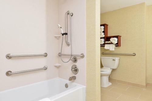 Hotel Hampton Inn Detroit/auburn Hills South