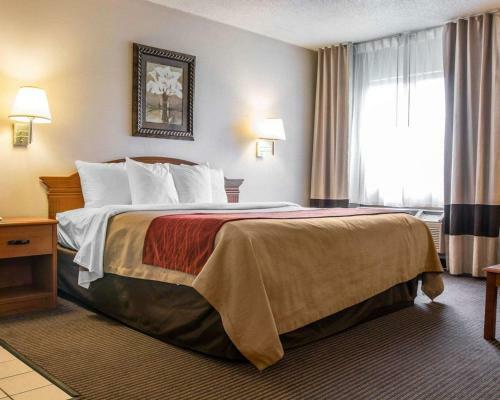 Hotel Quality Inn & Suites Flint Airport