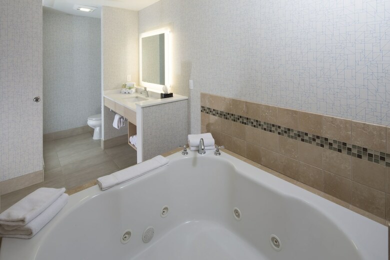 Hotel Holiday Inn Express & Suites Port Huron