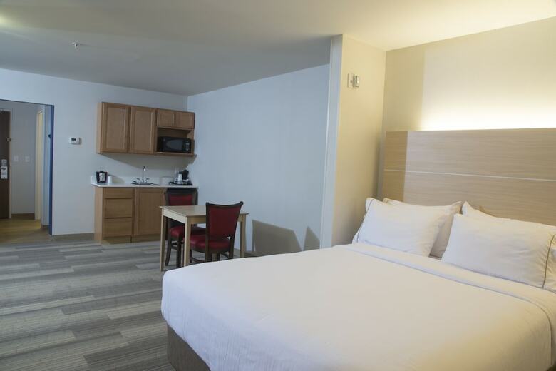 Hotel Holiday Inn Express & Suites Port Huron