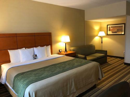 Hotel Comfort Inn Metro Airport Romulus