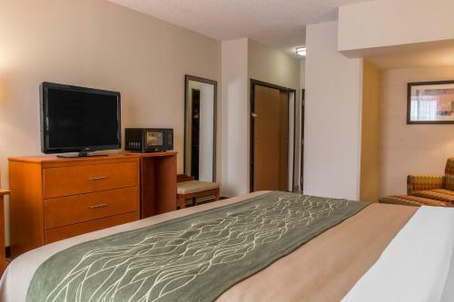 Hotel Comfort Inn Metro Airport Romulus