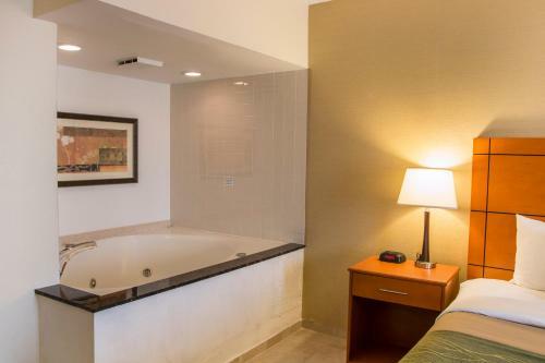 Hotel Comfort Inn Metro Airport Romulus