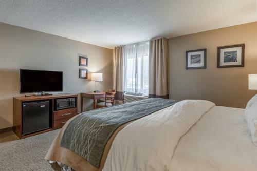 Hotel Comfort Inn