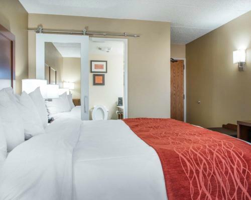 Hotel Comfort Inn Eden Prairie - Minneapolis