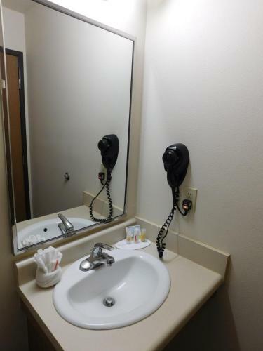 Hotel Days Inn And Suites Rochester
