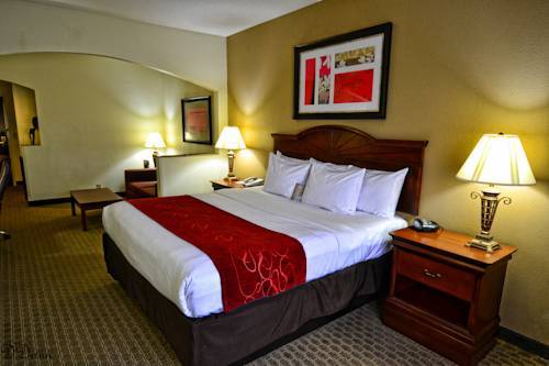 Hotel Comfort Suites Southaven