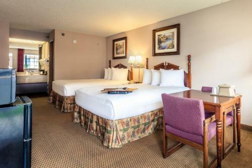 Hotel Angel Inn - Central