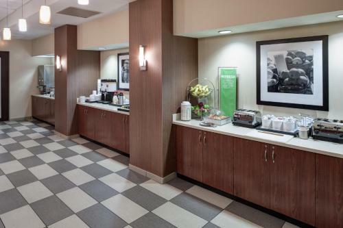 Hotel Hampton Inn St Louis- At The Arch