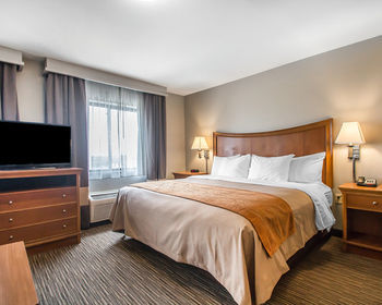 Hotel Comfort Inn Springfield
