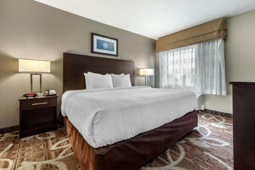 Hotel Mainstay Suites Lincoln