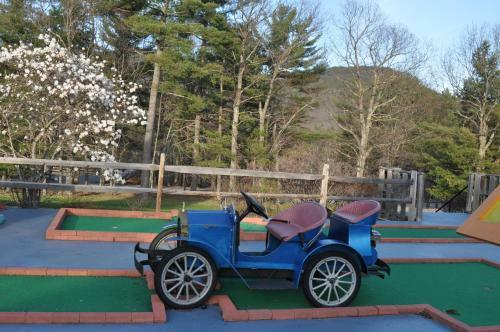 Hotel Fox Ridge - A Red Jacket Resort