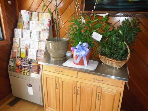 Motel Executive Lodge Absecon
