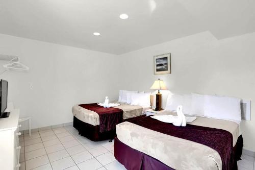Motel AA Heart Of Wildwood