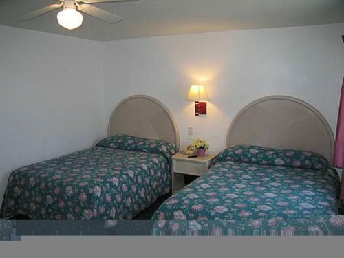 Hotel Apollo Motel
