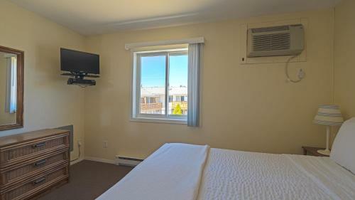 Born Free Motel