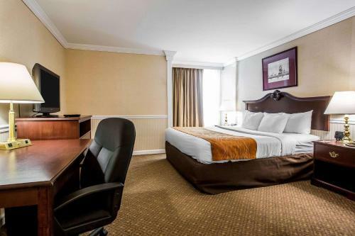 Hotel Comfort Inn & Suites Plattsburgh