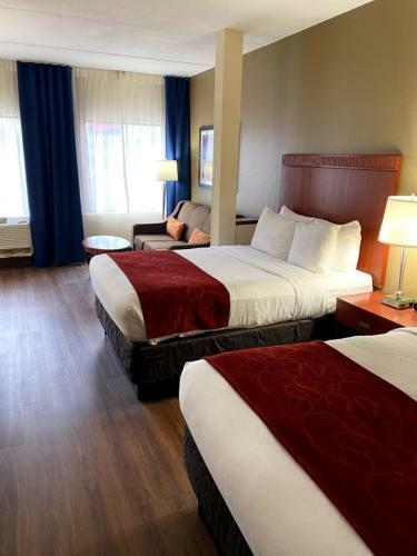 Hotel Comfort Suites - Asheville
