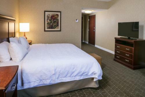 Hotel Hampton Inn & Suites Toledo-perrysburg