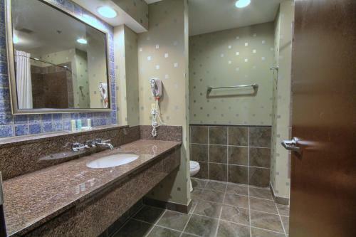 Hotel Comfort Suites Perrysburg