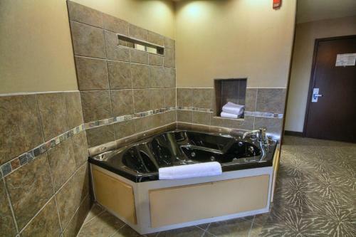 Hotel Comfort Suites Perrysburg