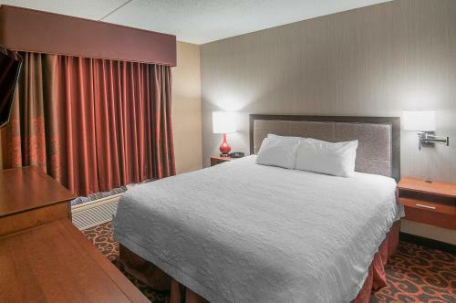 Hotel Hampton Inn At Tin Lizzie Gaming Resort