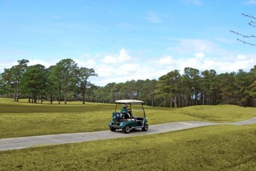 Apartamento Magnolia Pointe 301-4882