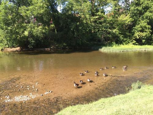 Hotel Pigeon River Inn
