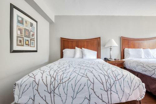 Hotel Oyo Townhouse Memphis Northeast