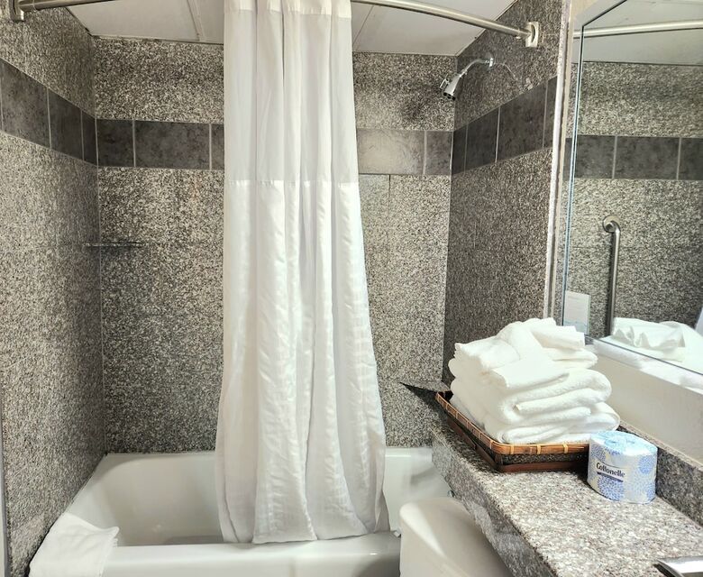 Wyndham Garden Hotel Austin
