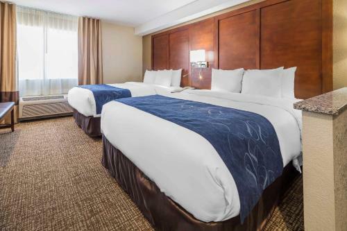 Hotel Comfort Suites El Paso Airport