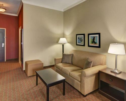 Hotel Comfort Suites Fort Worth South