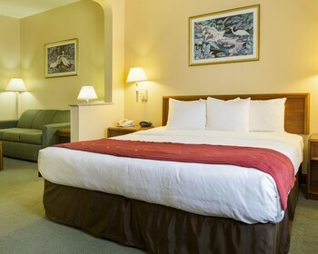 Hotel Comfort Suites La Porte