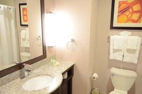 Hotel Holiday Inn Houston West - Westway Park