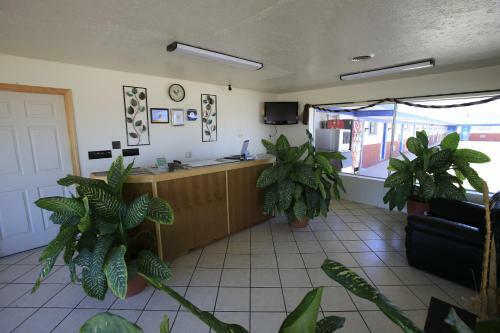 Motel Shamrock Country Inn