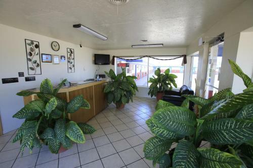 Motel Shamrock Country Inn