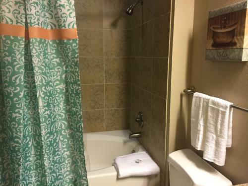 Resort Style Apartment/home - The Woodlands