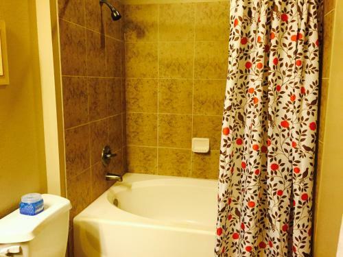 Resort Style Apartment/home - The Woodlands