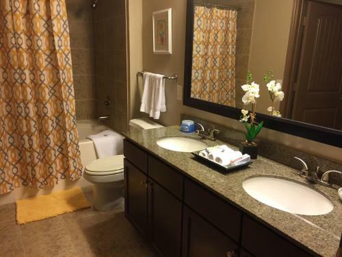 Resort Style Apartment/home - The Woodlands