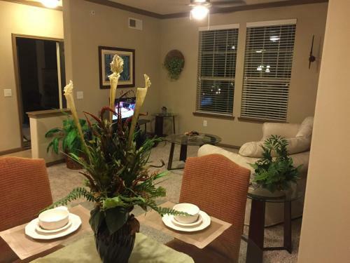 Resort Style Apartment/home - The Woodlands