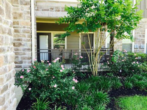 Resort Style Apartment/home - The Woodlands