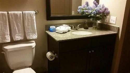 Resort Style Apartment/home - The Woodlands