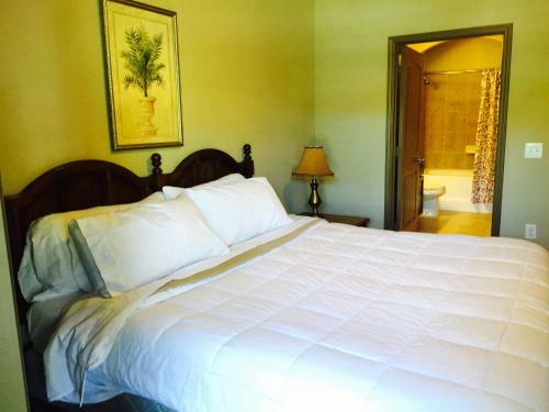 Resort Style Apartment/home - The Woodlands