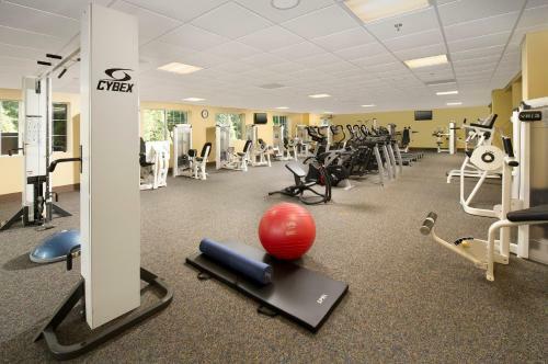 Hotel Holiday Inn Express & Suites Charlottesville North
